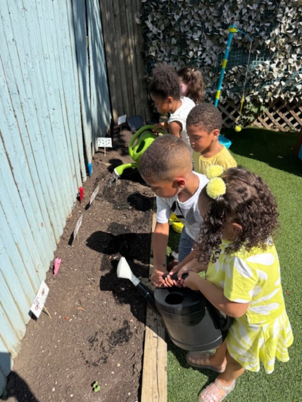 Children watering plants together in the outdoor garden